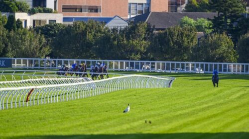 The-Championships-Day-2-2025-Race-Replay