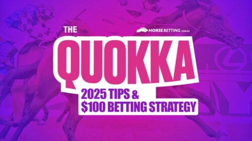 The-Quokka-2025-Preview-1024x650-2-500x2