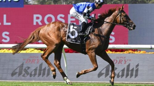 Vauban-Sky-High-Stakes-1024x683-1-500x28