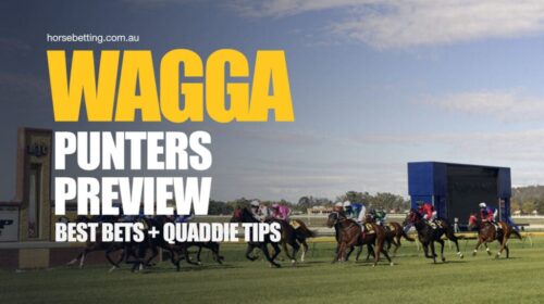 Wagga-Punters-Preview-1024x650-2-500x280
