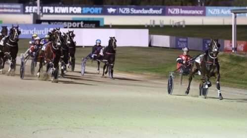 Whos-Delight-Addington-blog-May-2024-v2_