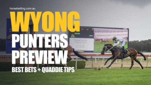 Wyong-Punters-Preview-1024x650-1-500x280