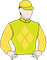 Fine Shot Silks