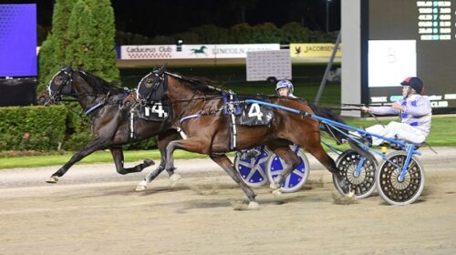 Meant-To-Be-and-Higher-Power-Alex-Park-2