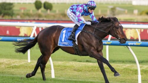 Pride-Of-Jenni-Anniversary-Vase-1024x683