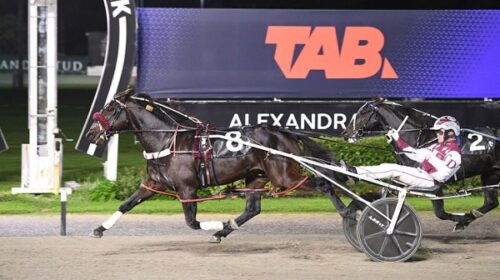 Republican-Party-blog-Roy-Purdon-May-202