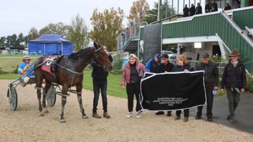 Slyx-May-blog-connections-Rangiora-may-2