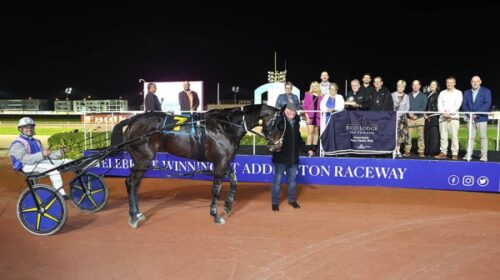 Beach-Day-blog-addington-2025__ResizedIm