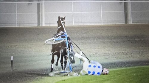 Crystal-tipped-from-cart-Buddy-Guy-Alex-