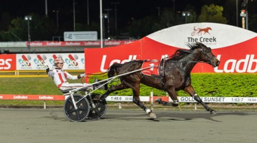 ARCEE-PHOENIX-INTER-DOM-2025-blog__Resiz