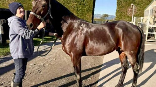 Republican-party-courtco-blog__ResizedIm