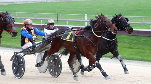 Take-After-Me-wins-Addington-blog__Resiz