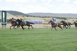 Robinson to see if there is more to mare