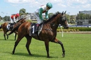 The Pharoah reigns supreme at Rosehill