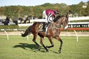 Easy trial for Hanwritten ahead of Doomben