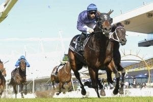 Siege Of Quebec set for black-type debut