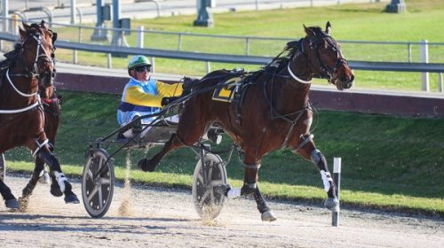 Archer-Blair-Orange-winning-at-Addington