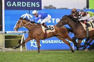 Waller, Neasham runners dominate Premier’s Cup field