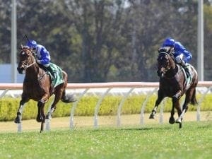 Well-bred Miss Fabulass in Canterbury win