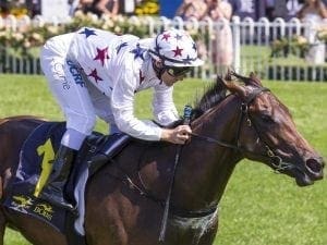 Currie back on Sunlight in Quezette Stakes