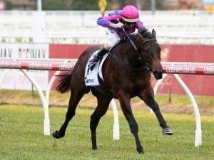Lindsay Park duo lock horns in Vain Stakes