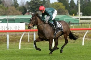 Cork primed for New Plymouth