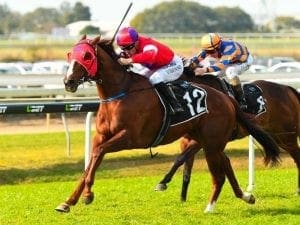 Marty leads the party at Doomben