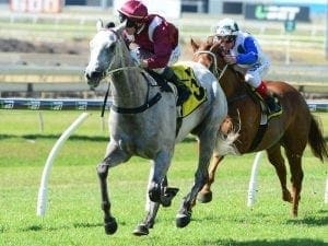 Import Meccabah's future in owner's hands