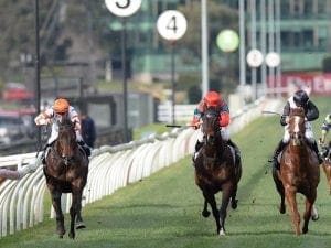 Hey Doc resumes with win in Aurie's Star