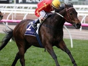 Voodoo Lad shines in Aurie's Star Hcp