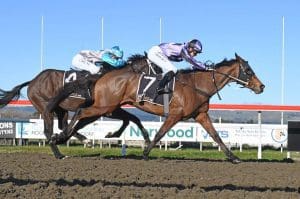 Howie Mathews chasing Awapuni success