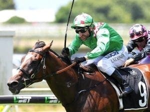 First Crush to head south for more Cups
