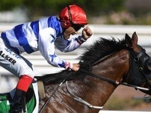Lindsay Park pair to tackle G2 Lawrence