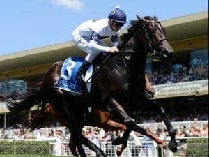 Dual Group 1 winner She Will Reign retired