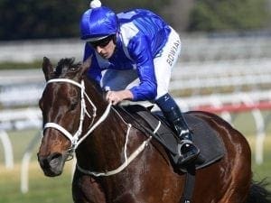 Ten rivals for Winx at Randwick