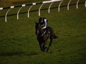 Winx as good as ever: Hugh Bowman
