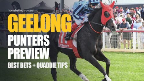 Geelong-Punters-Preview-1024x650-1-500x2