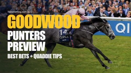 Goodwood-Punters-Preview-1024x650-1-500x