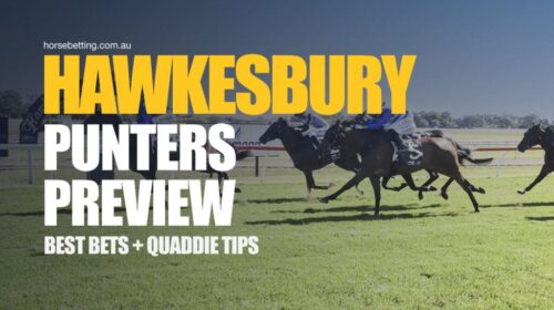 Hawkesbury-Punters-Preview-1024x650-2-50