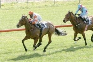 Hello It’s Me all class in Ruakaka opener