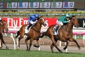 Emirates target for Humidor