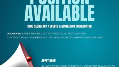 Image-1-v2__ResizedImageWzYwMCw1MDNd-500