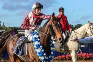 Times Ticking on track for Hawke’s Bay Spring Carnival