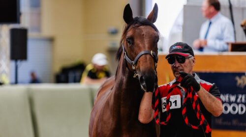 Lot-301-sales-topper-ChCh-blog-Feb-2024-