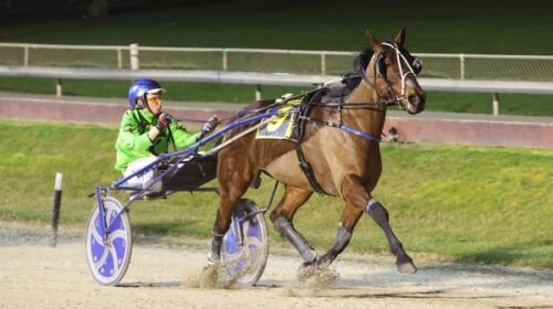 Muscle-Mountain-blog-addington-August-20