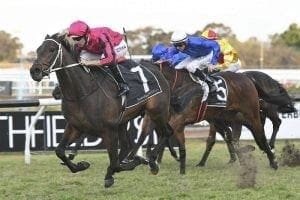 Paret stamps Epsom Handicap claims