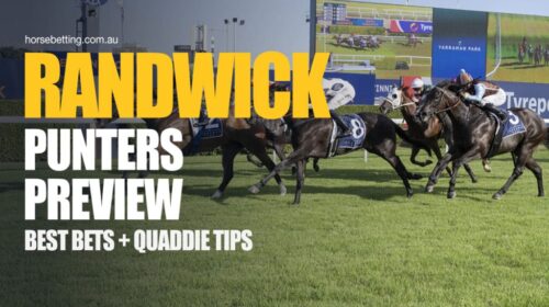 Randwick-Punters-Preview-1024x650-1-500x