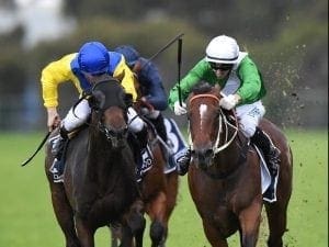 Oohood on target for Silver Shadow return