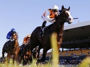 Menari stakes claim for Everest climb