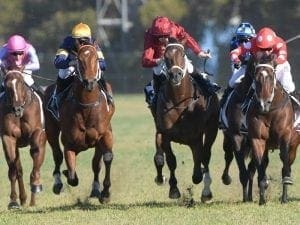 Sandbar adds Rosebud to his resume